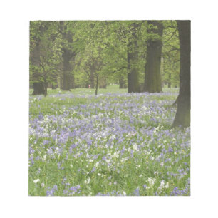 Blauglocken und Eichen im Frühling, Little Hagley Notizblock