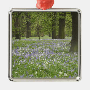Blauglocken und Eichen im Frühling, Little Hagley Silbernes Ornament
