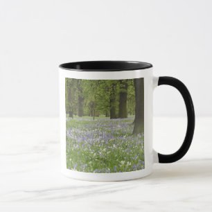 Blauglocken und Eichen im Frühling, Little Hagley Tasse