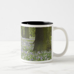 Blauglocken und Eichen im Frühling, Little Hagley Zweifarbige Tasse