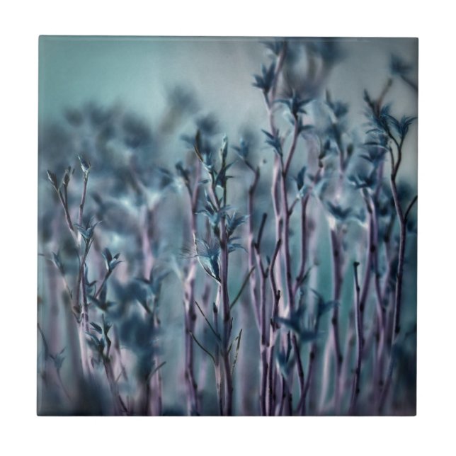 Blaugras Fliese (Vorderseite)