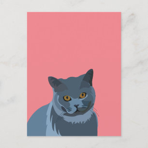 Blaugrau-Katzenliebhaber Postkarte
