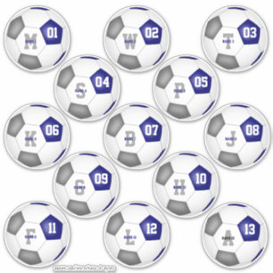 Blaugraue Mannschaftsfarben Set von 13 Fußballern Aufkleber