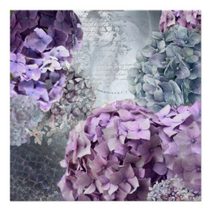 Blaugraue Vintage Hydrangea-Blume Poster