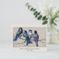 Blaugraue Vögel auf einem Zweig von Hector Giacome
