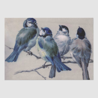 Blaugraue Vögel auf einem Zweig von Hector Giacome Seidenpapier
