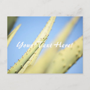 Blaugrüne Aloe-Pflanzen Blaue Himmel Postkarte