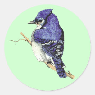Blauhäher-Aufkleber Runder Aufkleber