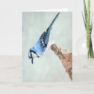 Blauhäher Blank Karte