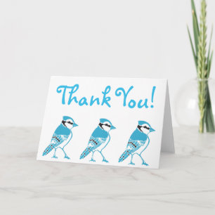 Blauhäher danken Ihnen zu kardieren Dankeskarte