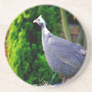 Blauhelme Guinea  Fowl Sandstein Untersetzer