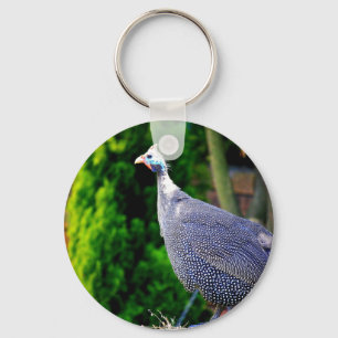 Blauhelme Guinea  Fowl Schlüsselanhänger