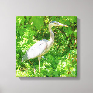 Blauherde, Seeufer, hübscher Wildvogel, Natur Leinwanddruck