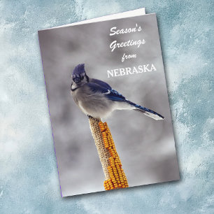 Blaukeher Weihnachtsgrüße aus Nebraska Feiertagskarte
