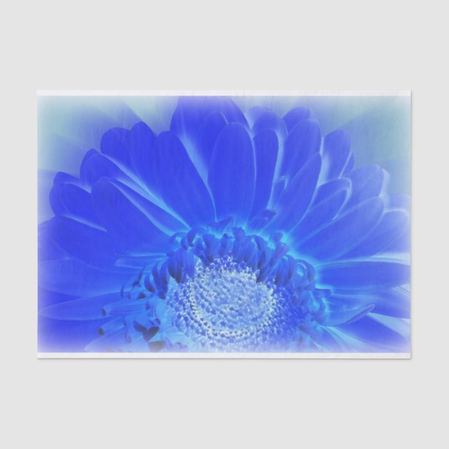 Blaukehlchen Seidenpapier (Vorderseite)