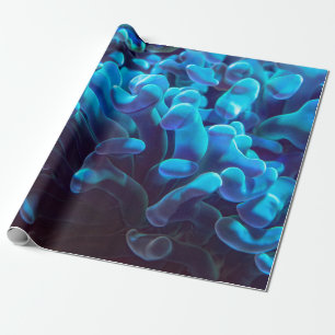 Blaukoralle Geschenkpapier