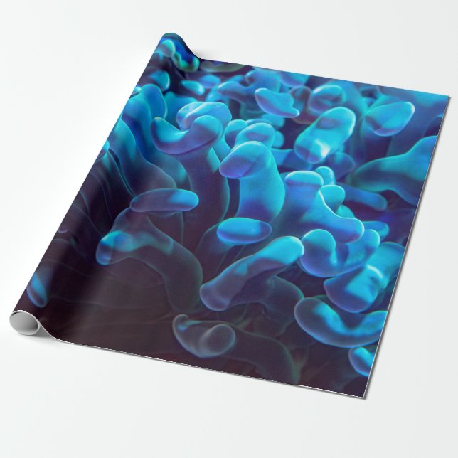 Blaukoralle Geschenkpapier (Ungerollt)