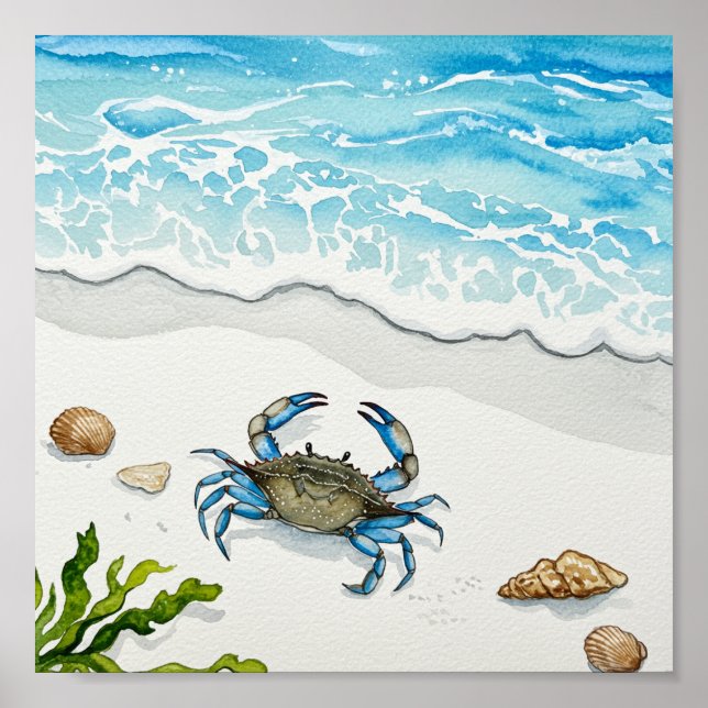 Blaukrabbe, weißer Strand Poster (Vorne)