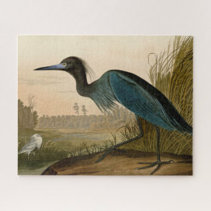 Blaukranich-Reiher Audubon-Druck Küstenkunst