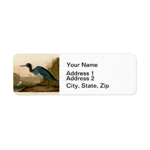 Blaukranich-Reiher-Audubon-Druck Küstenkunst