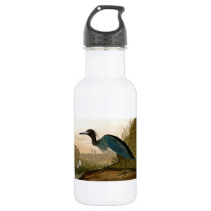 Blaukranich-Reiher Audubon-Druck Küstenkunst Edelstahlflasche