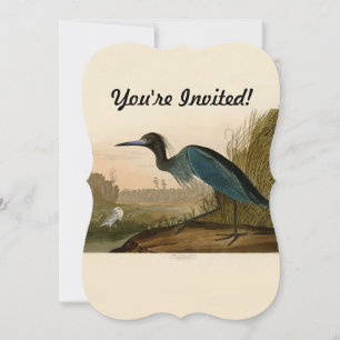 Blaukranich-Reiher-Audubon-Druck Küstenkunst Einladung