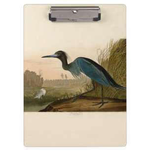 Blaukranich-Reiher-Audubon-Druck Küstenkunst Klemmbrett