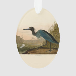 Blaukranich-Reiher-Audubon-Druck Küstenkunst Ornament