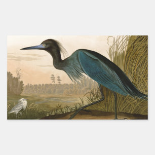 Blaukranich-Reiher-Audubon-Druck Küstenkunst Rechteckiger Aufkleber