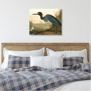 Blaukranichreiher Audubon-Druck Küstenkunst Leinwanddruck