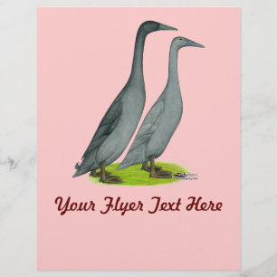 Blauläufer Enten Flyer