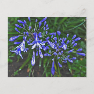 Blaulenzer Postkarte