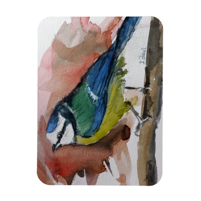 Blaumeise Magnet (Vertikal)