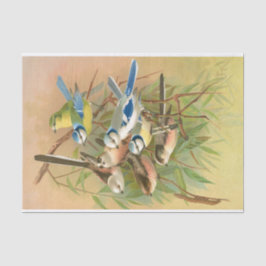 Blaumeise und Langschwanzmeise, Decoupage Seidenpapier