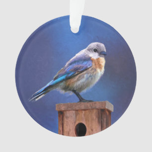 Blaumeise (Weibchen) Malerei - Originale Vogelkuns Ornament