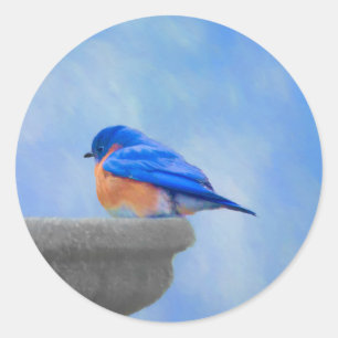 Blaumeisen-Malerei - Originale Vogelkunst Runder Aufkleber
