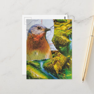 Blaumeisen-Wald-Karten-Collage Postkarte