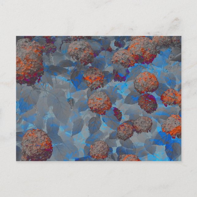 Blauorangefarbene Blume Postkarte (Vorderseite)