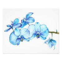 Blauorchid Botanic Print