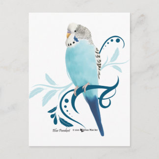 Blauparakeet Postkarte