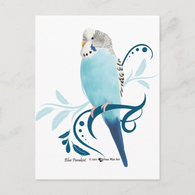 Blauparakeet Postkarte (Vorderseite)