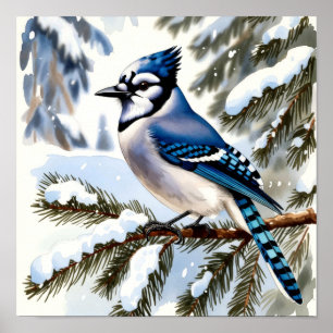 Blaurabe im schneebedeckten Kiefern-Wasserfarben-W Poster