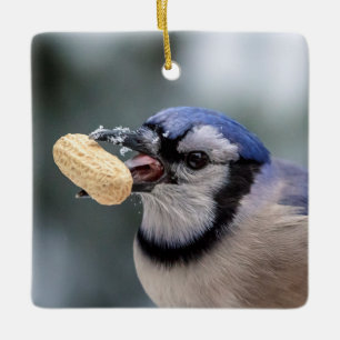Blaurabe mit einer Erdnuss Keramikornament