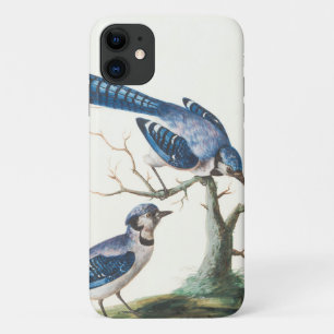 Blauracken-Wasserfarbenkunst Case-Mate iPhone Hülle