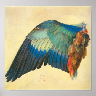 Blaurake von Albrecht Durer Poster