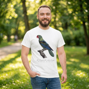Blaurückenpapagei, Tanygnathus Megalorynchos T-Shirt