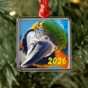 Blaurückensittich mit schiefgelegtem Kopf Ornament Aus Metall