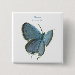 Blauschmetterling Button
