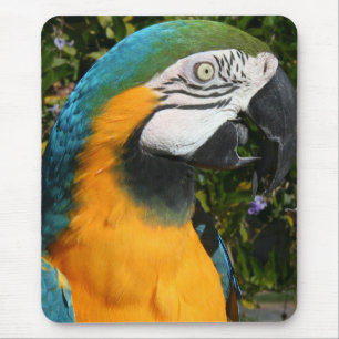 Blauu. GoldMacaw Mousepad