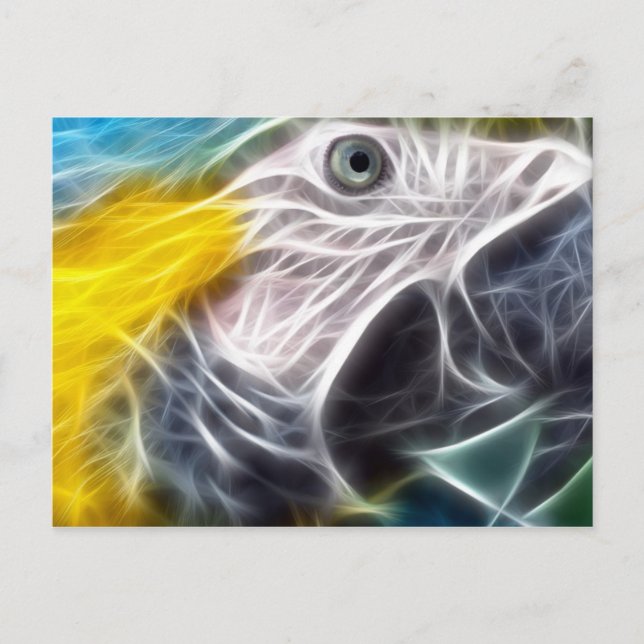 Blauund GoldMacaw Postkarte (Vorderseite)
